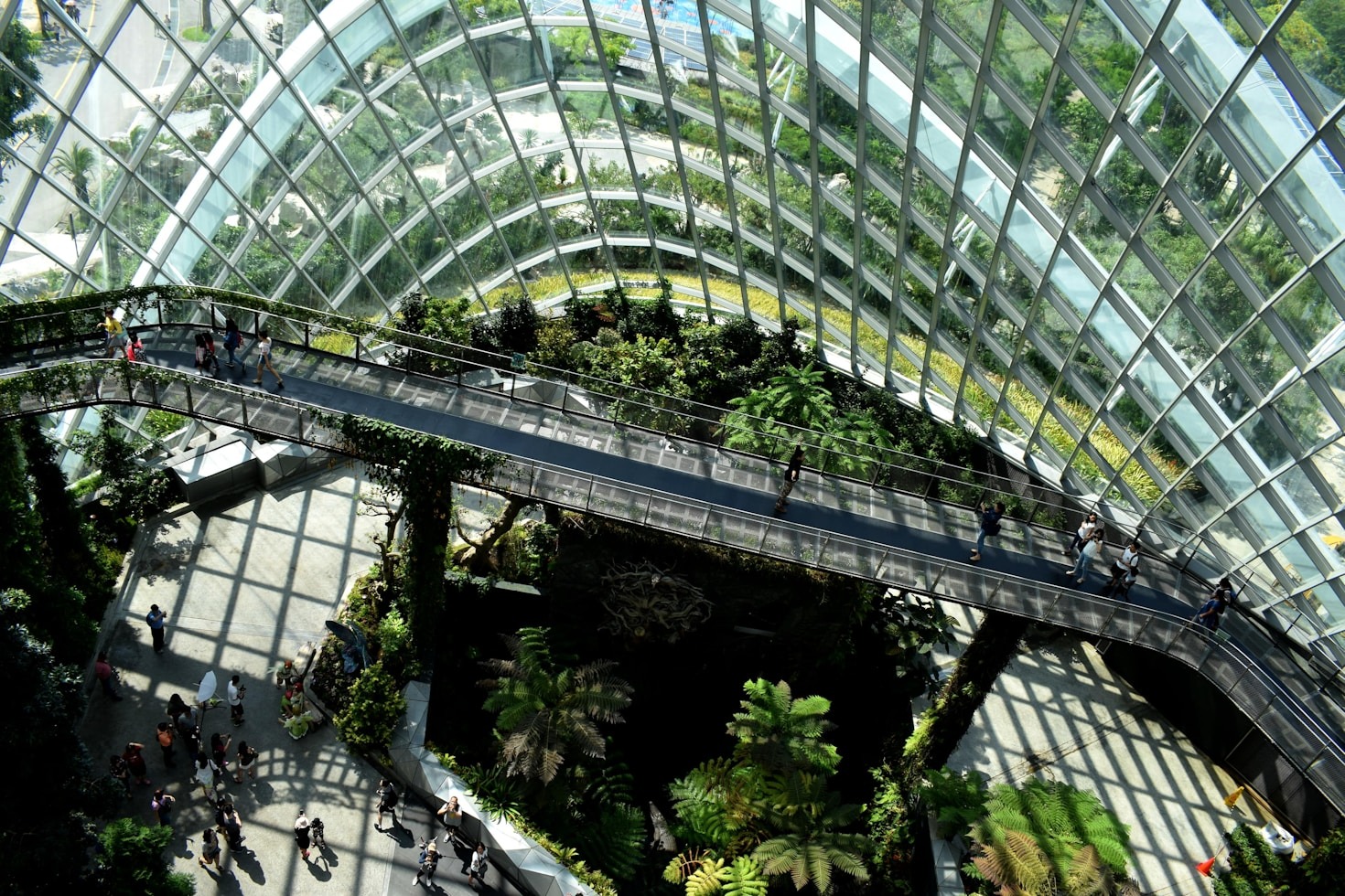 Reducing Carbon Emissions with Circular Intelligence