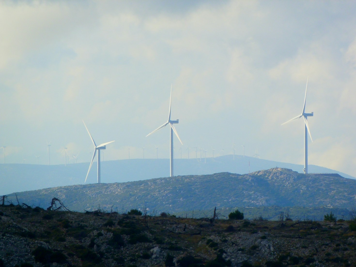 Step into the Future: CircularX for Industries